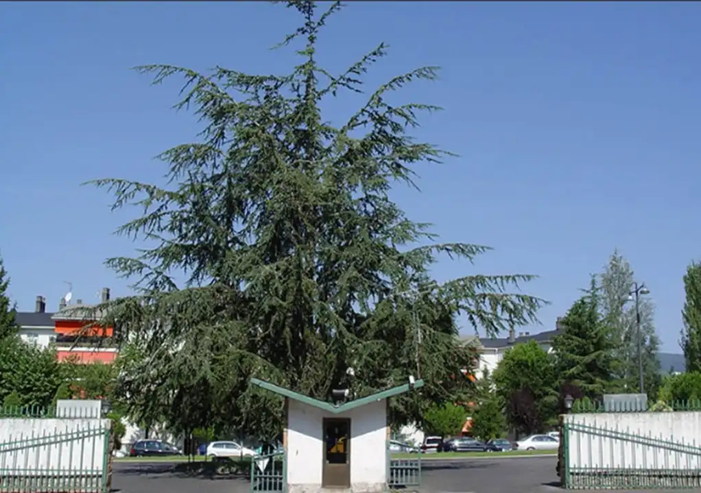 Jardí de Pis en venda en Guadarrama amb Calefacció, Jardí privat i Terrassa