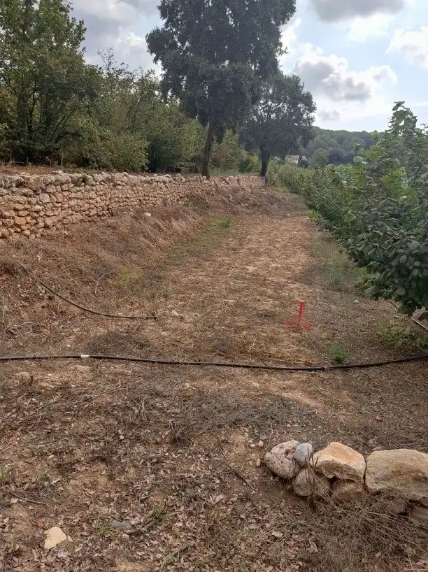 Terrenys i solars en venda a N/A, imagen 3