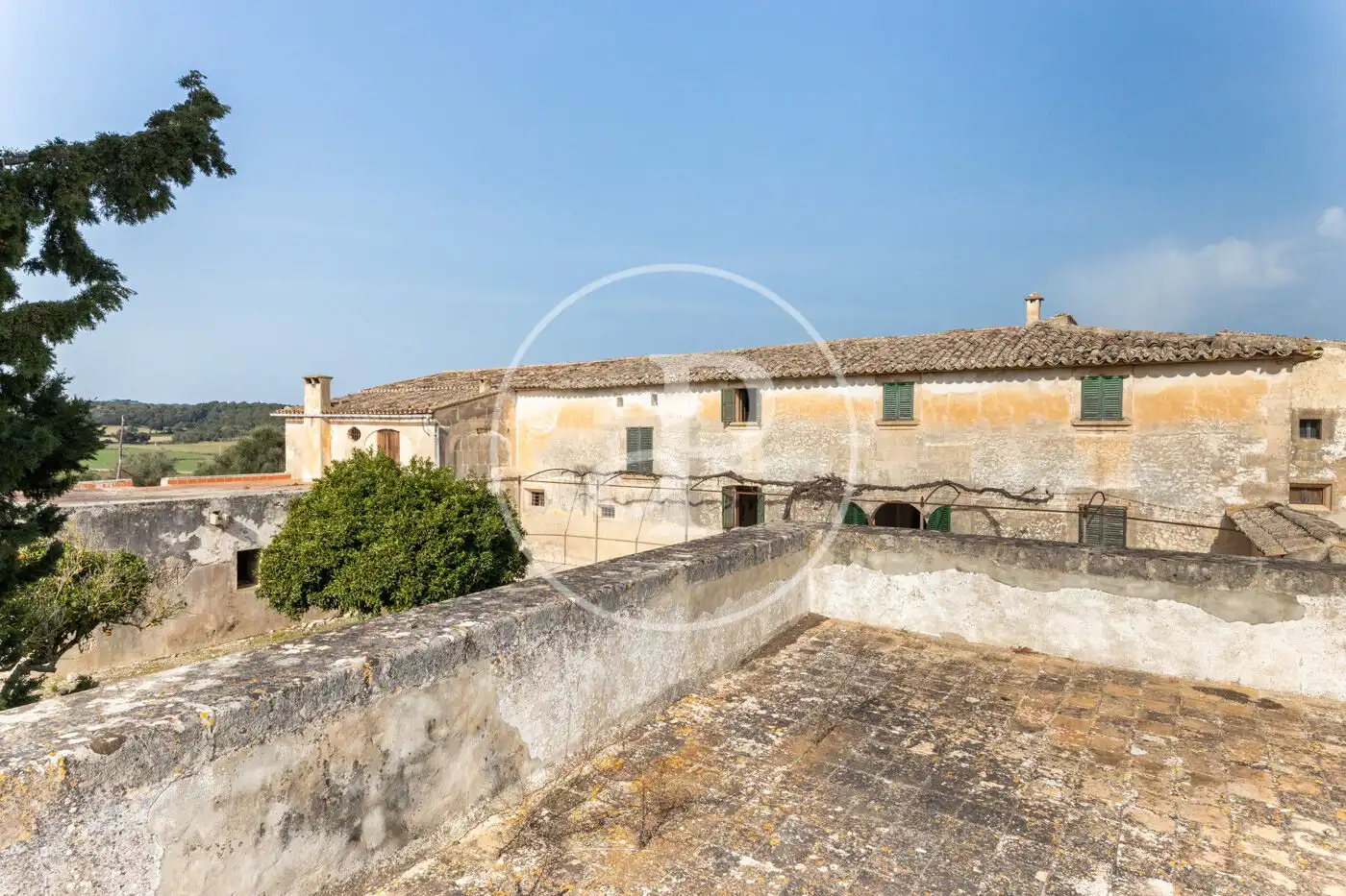 Vista exterior de Finca rústica en venta en Archena con Calefacción, Jardín privado y Terraza