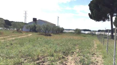 Foto 4 de Finca rústica en venda a Almonte ciudad, Almonte