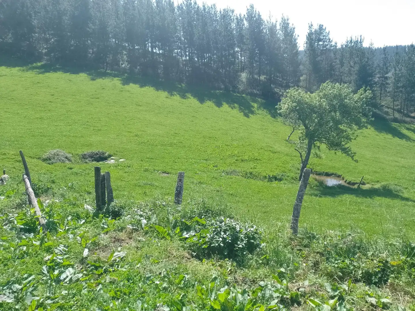 Finca rústica en venta en Amurrio con Calefacción