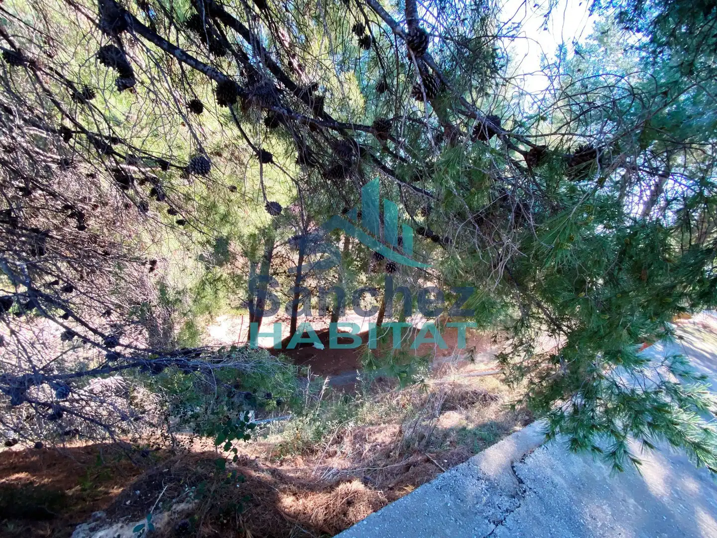 Industrial buildings for sale in Chelva