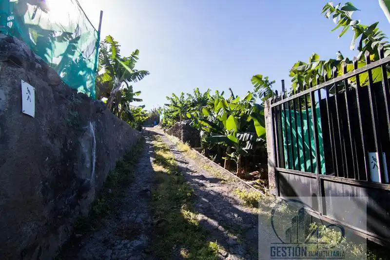 Vista exterior de Finca rústica en venta en Puerto de la Cruz