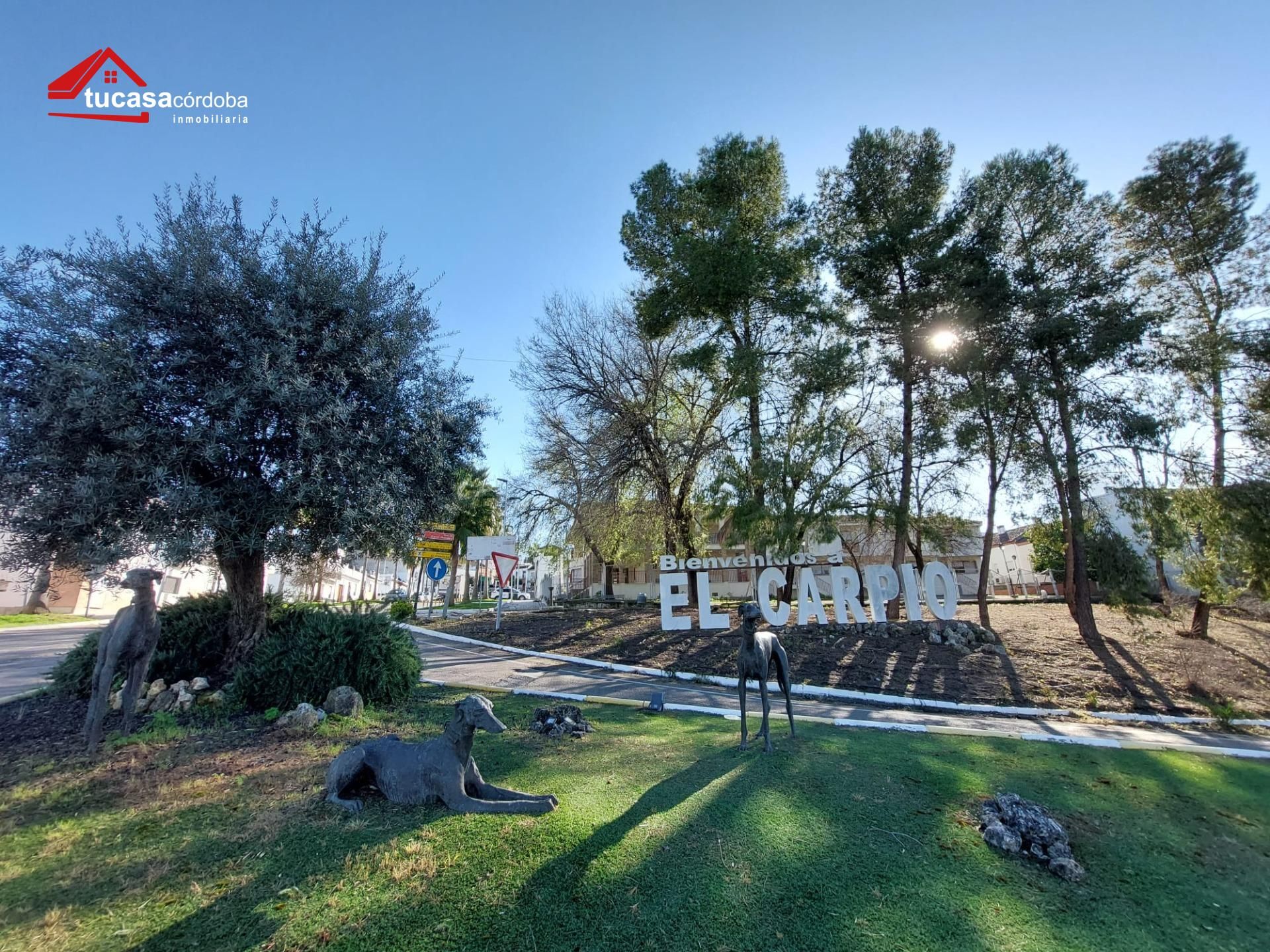 Vista exterior de Piso en venta en El Carpio con Aire acondicionado y Terraza