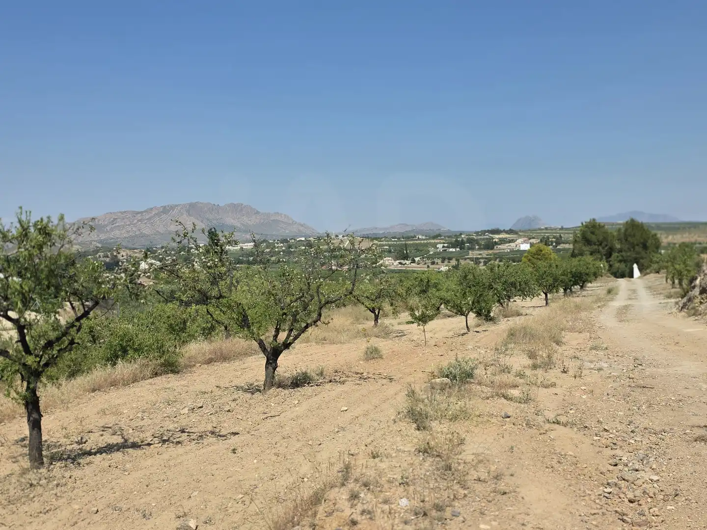 Terrenys i solars en venda a Cehegín, imagen 12