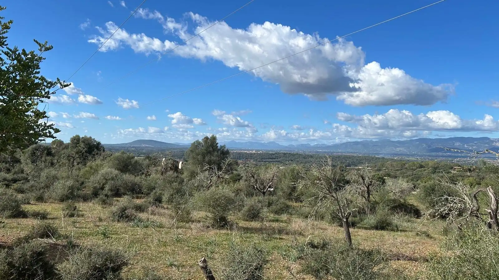 Terreno rustico in vendita a Camino Camí des Rafalet, imagen 6