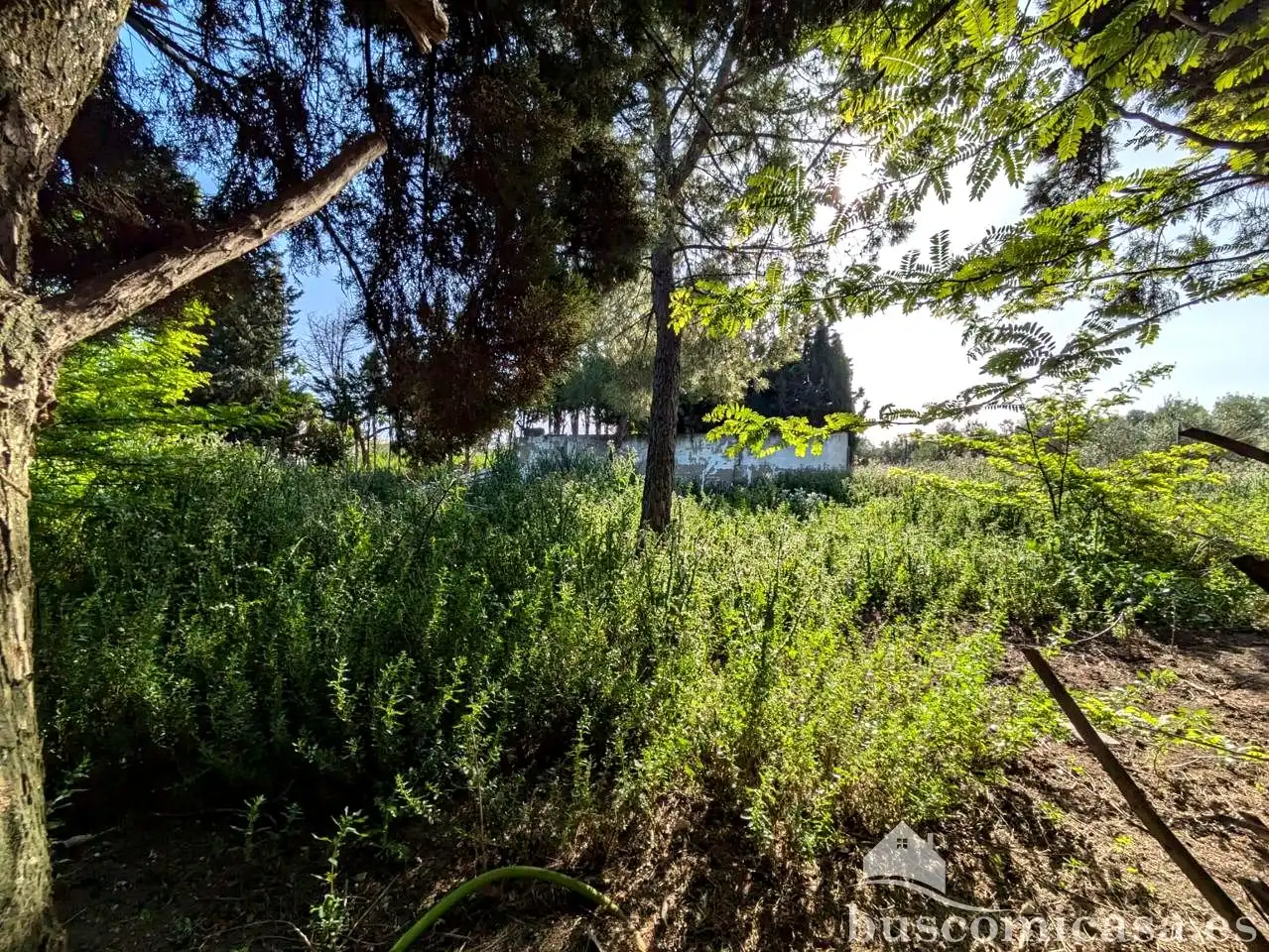 Finca rústica en venda en Linares amb Jardí privat i Piscina