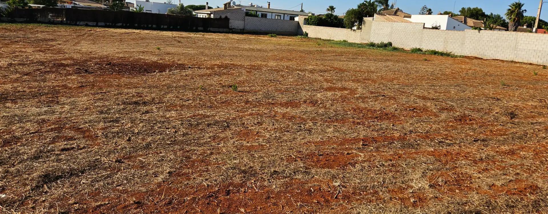 Terreny rústic en venda a Las Lagunas - Campano, imagen 2