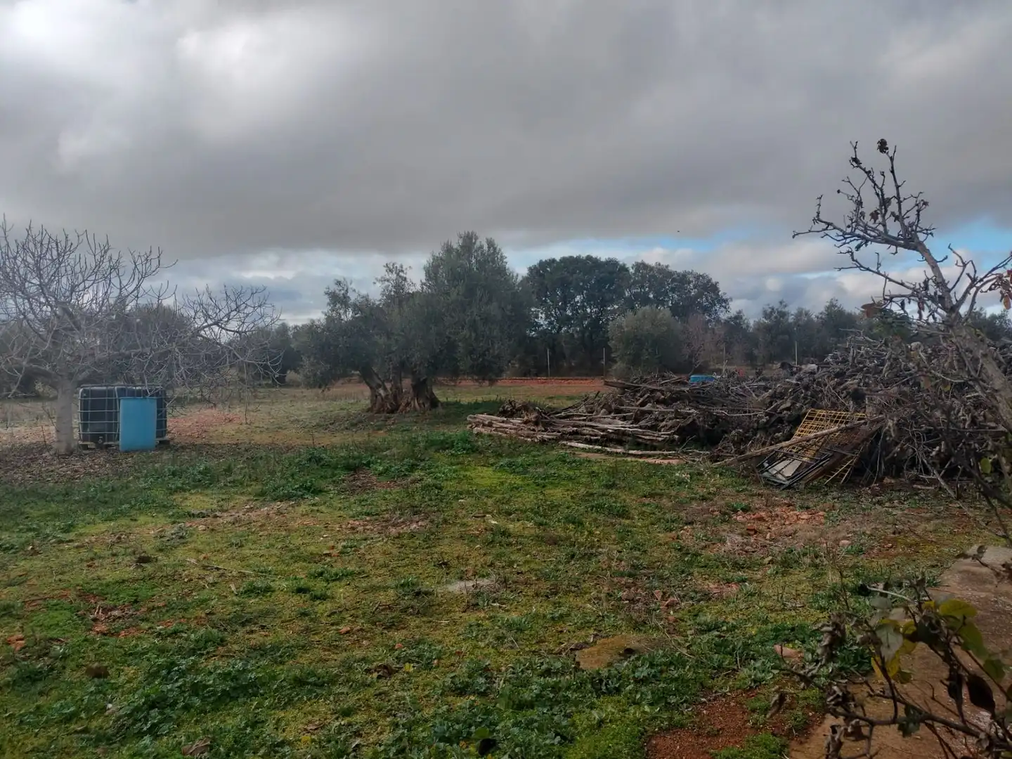 Finca rústica en venta en Argamasilla de Calatrava