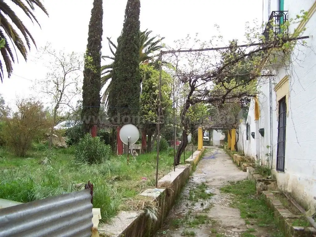Garden of Country homes for sale in Ronda  with Terrace, Storage room and Swimming Pool