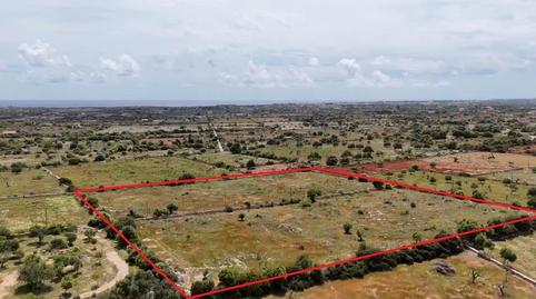 Foto 5 de Residencial en venda a Manacor Centre, Illes Balears