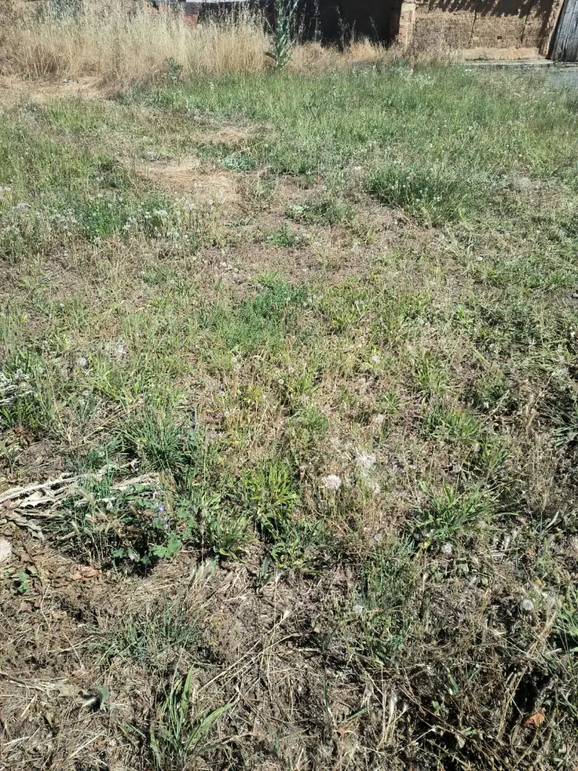 Casa o xalet en venda en Palacios de Riopisuerga amb Jardí privat i Balcó