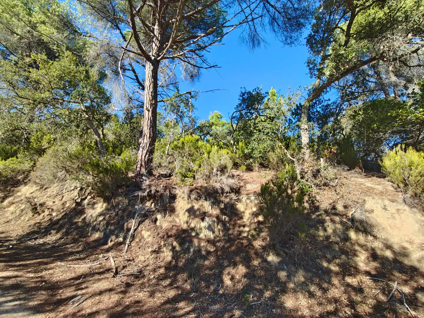 Terreno rustico in vendita a N/A, imagen 6