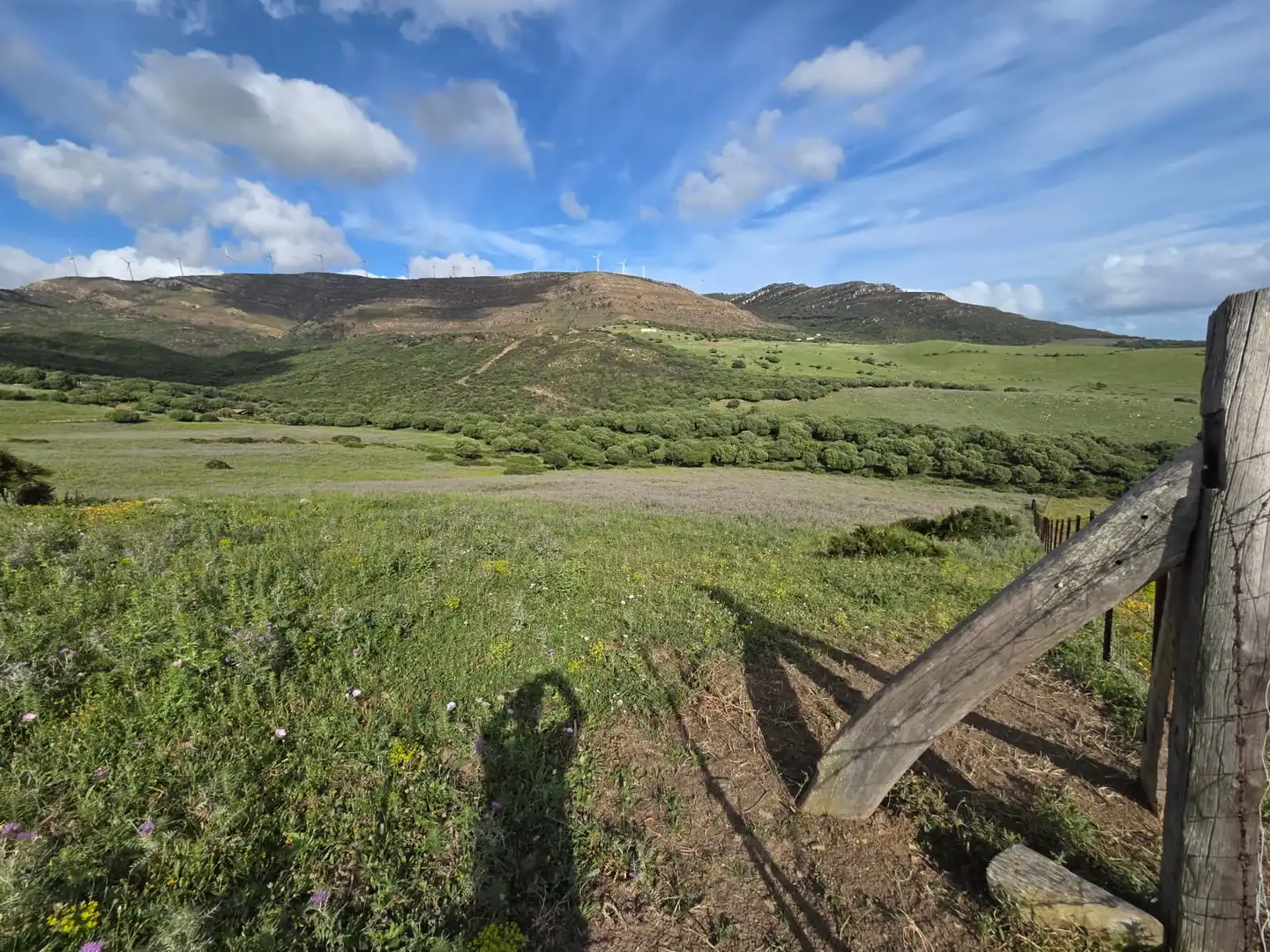 Terreno en venta en Tarifa