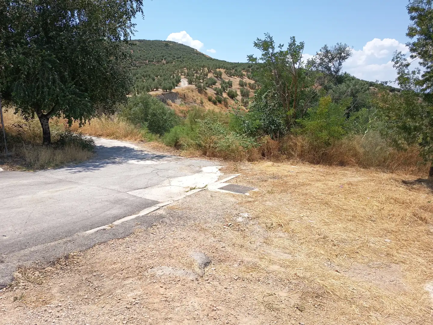Terreni e lotti in vendita a Puente Tablas - Puente Nuevo - Cerro Molina, imagen 8