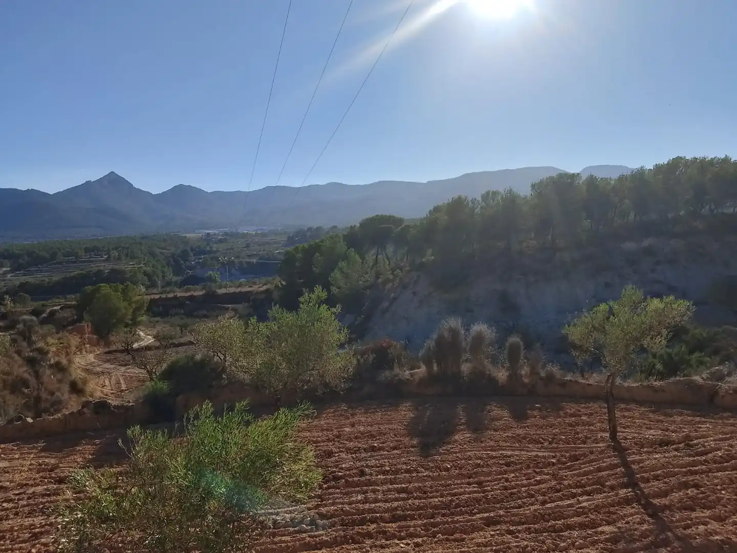 Terreny rústic en venda a Tibi, imagen 21