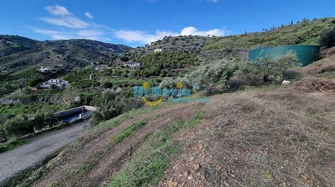Foto 4 de Finca rústica en venta en Torrox Pueblo, Torrox