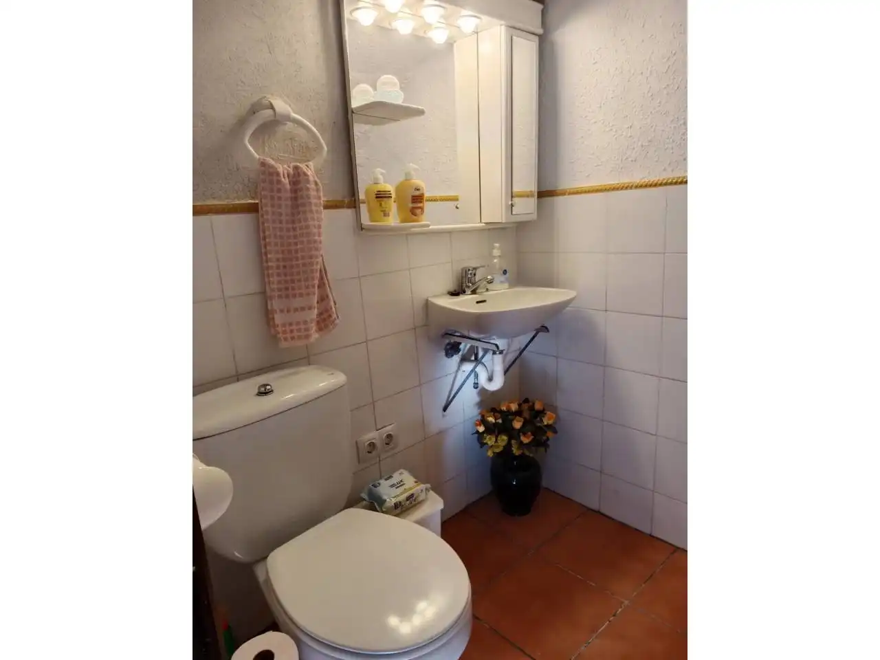 Baño de Casa o chalet en venta en Castillonroy con Aire acondicionado, Terraza y Amueblado