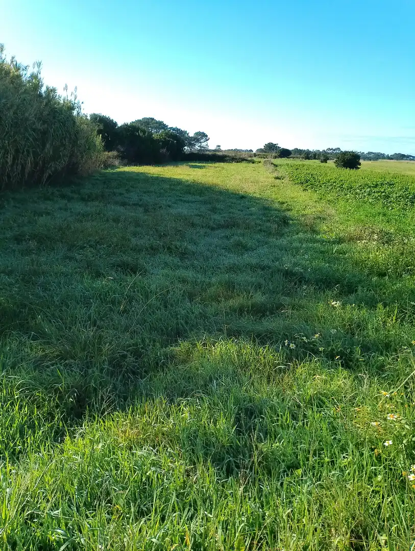 Land for sale in Ribeira
