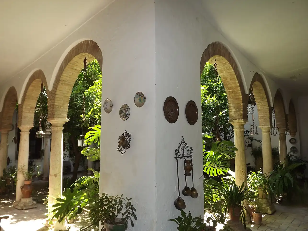 Autres à vendre à Centro, imagen 3