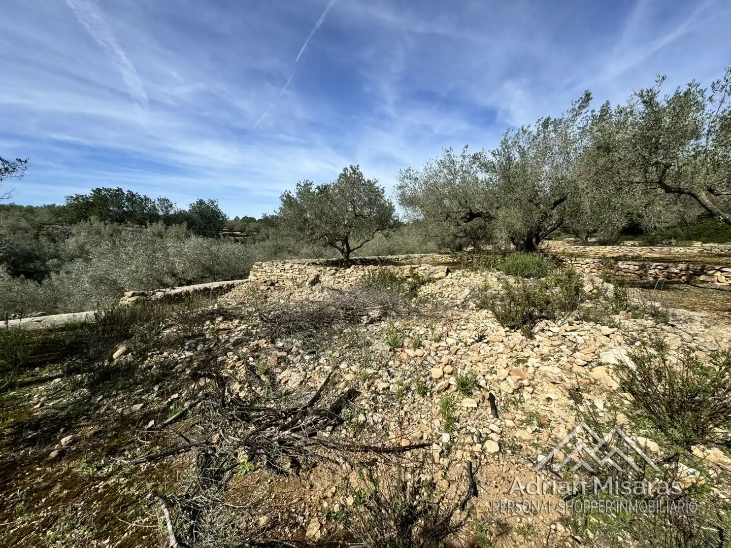 Terreno rústico en venta en L'Aldea, imagen 43