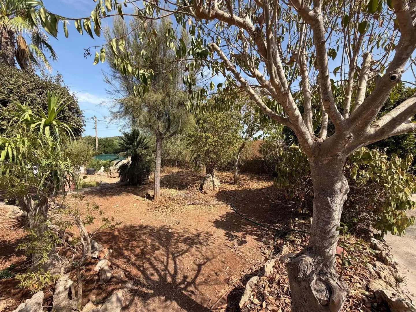 Terreny residencial en venda a Pòrtol, imagen 37