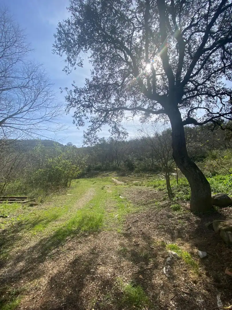 Terreny en venda en Tiurana