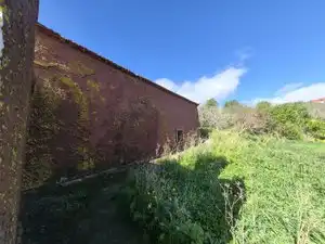 Vista exterior de Finca rústica en venta en El Rosario con Jardín privado, Terraza y Trastero