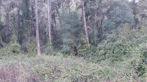 Terreno en pozo Adria Barx, immagine 2