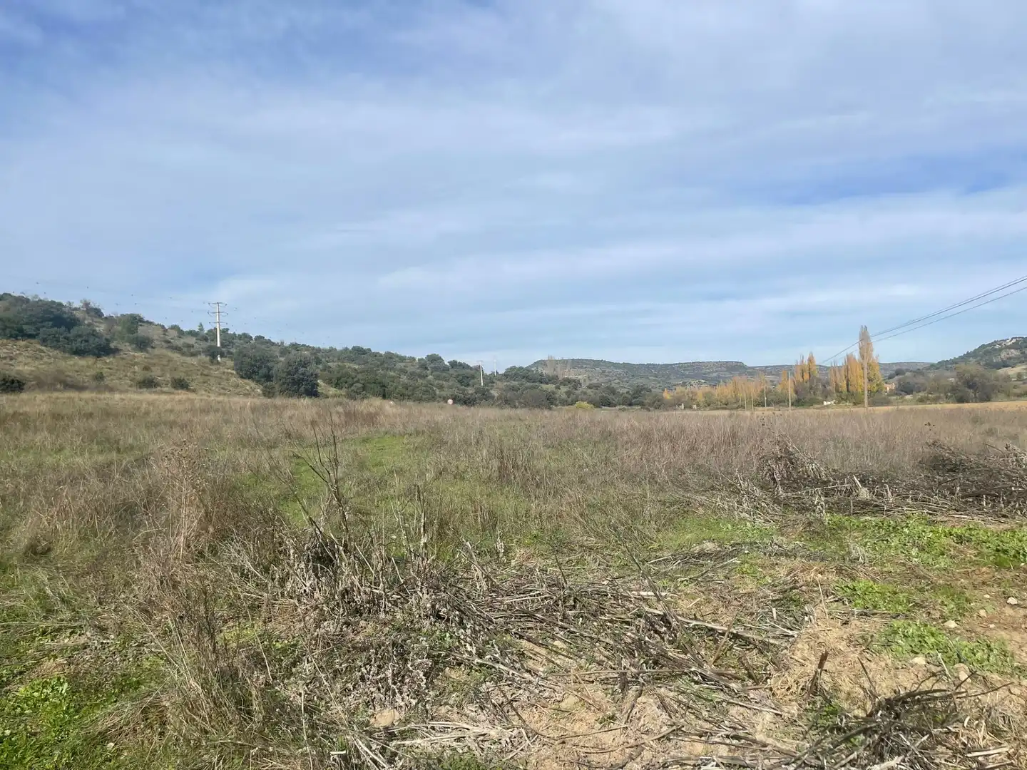 Rural land for sale in Orusco de Tajuña, imagen 15