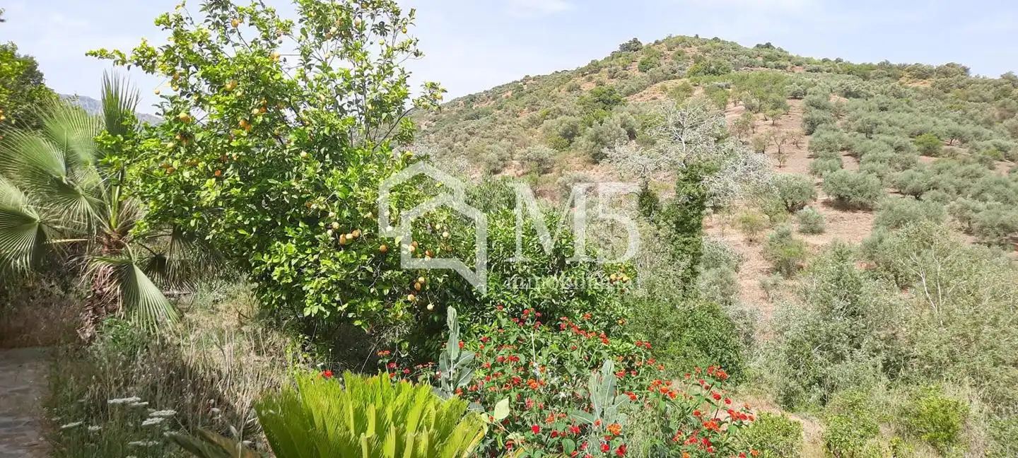 Casa rústica con piscina en venta en Sedella, imagen 16