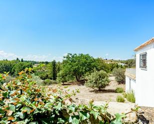 Garden of Country house for sale in El Bonillo  with Terrace