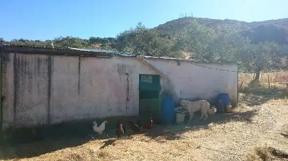 Terreni e lotti in vendita a Miralvalle - Av. Virgen del Puerto - La Data, imagen 14