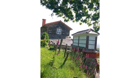 Foto 4 de Casa o chalet en venta en Lugar Novas, As Somozas , A Coruña