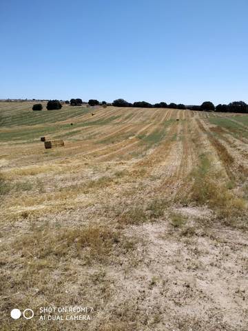Terreno en Venta en Quijorna