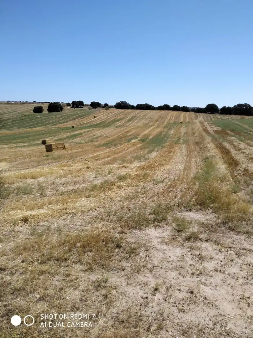 Terreno rustico in vendita a Quijorna