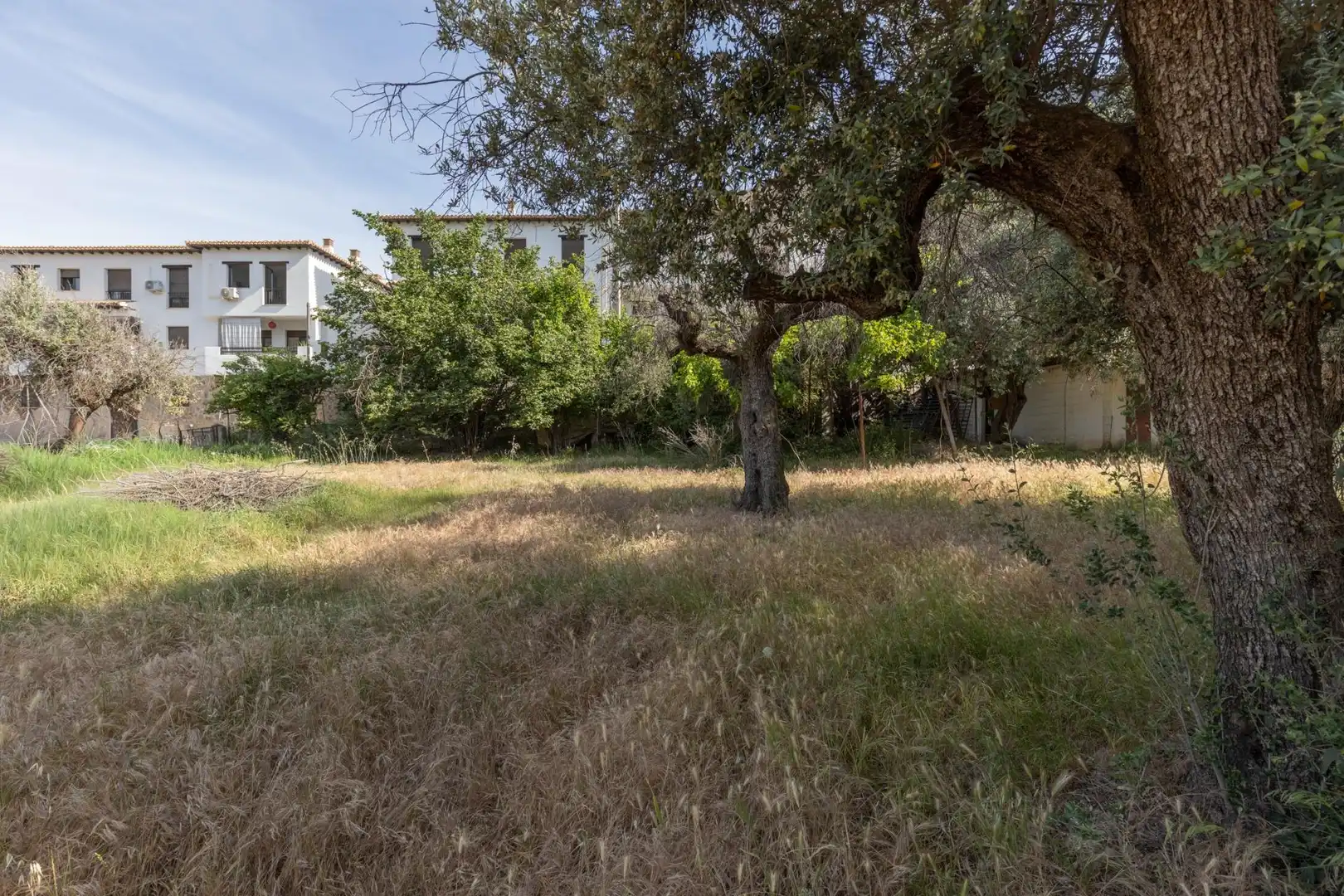 Lands and plots for sale in Carretera de Maitena, imagen 9