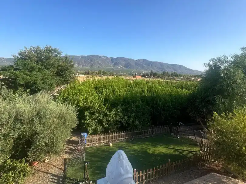 Jardí de Finca rústica en venda en Librilla amb Aire condicionat i Balcó