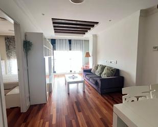 Sala d'estar de Pis de lloguer en Ciudad Real Capital amb Aire condicionat, Calefacció i Moblat
