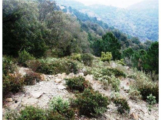 Terreno en Venta en Figuerola del Camp