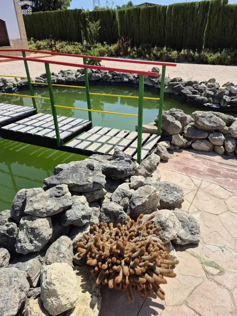 Casa rústica amb jardí en venda a Arcos de la Frontera, imagen 66