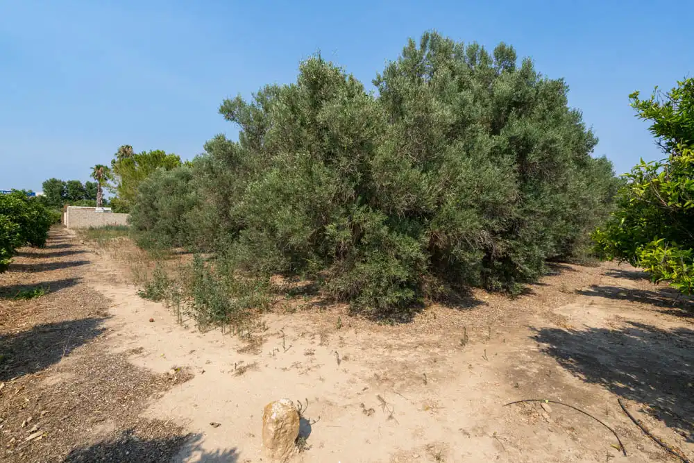 Finca rústica en venda en Tortosa amb Terrassa i Moblat