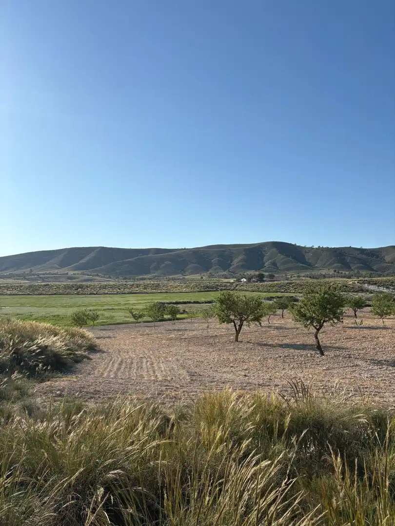 Country house for sale in Jumilla, imagen 42