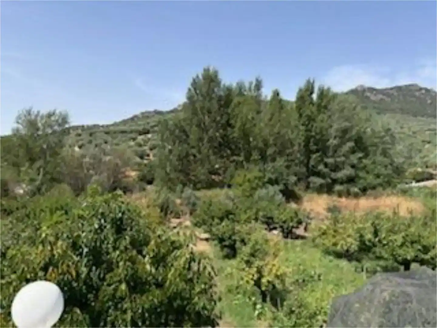 Casa o xalet en venda en Valdepeñas de Jaén amb Piscina