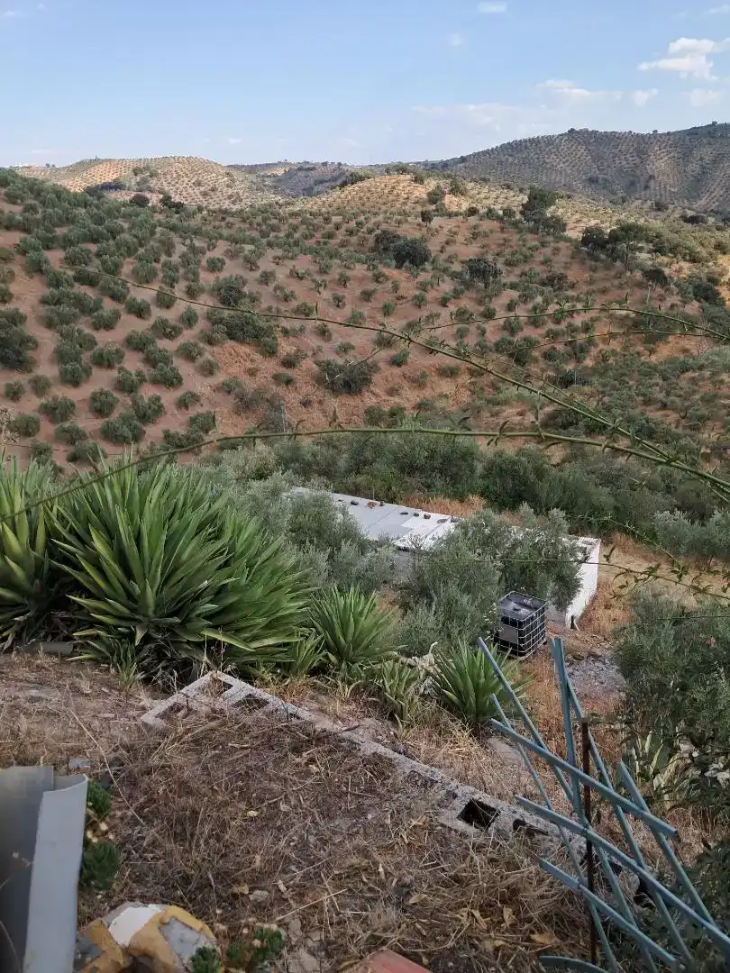 Casa o chalet en venta en Montoro