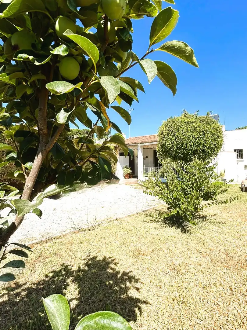 Vista exterior de Finca rústica en venda en Estepona amb Jardí privat, Terrassa i Piscina