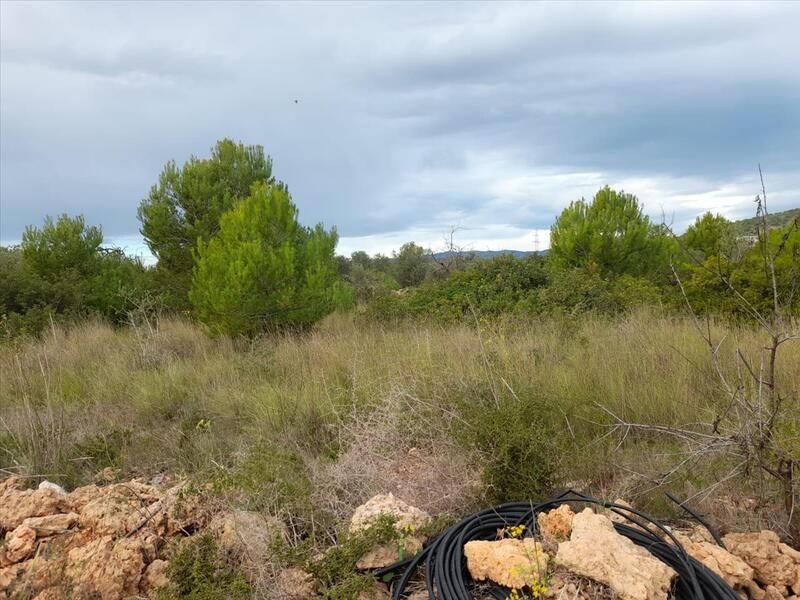 Residential for sale in POLIGONO 49, Alcossebre