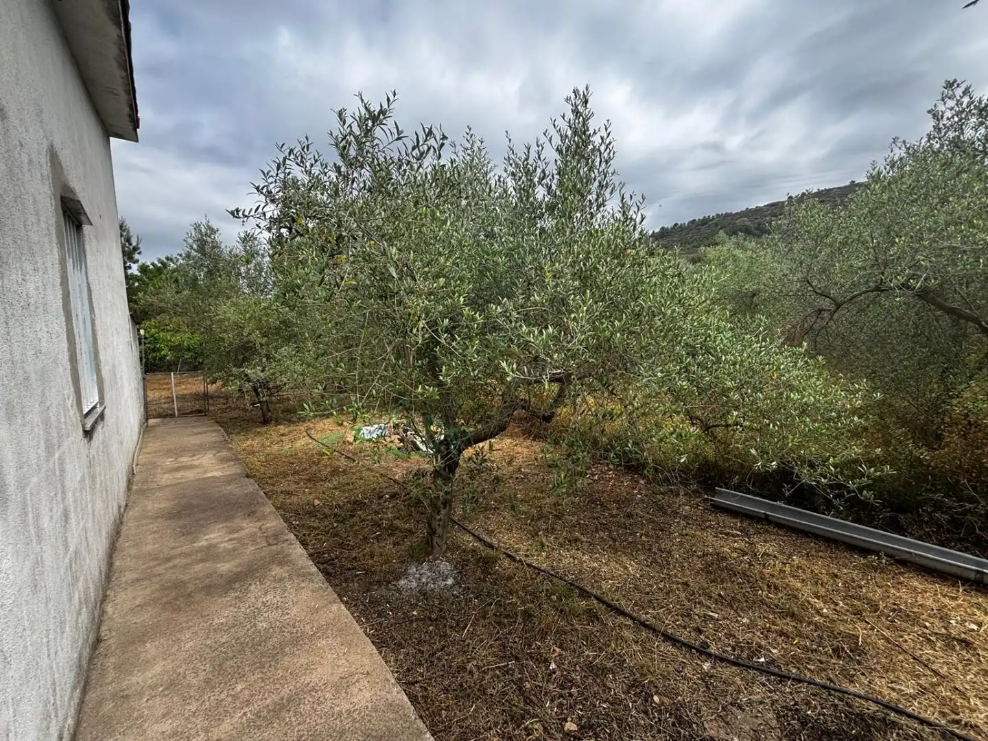 Casa o xalet en venda en Azuébar amb Terrassa