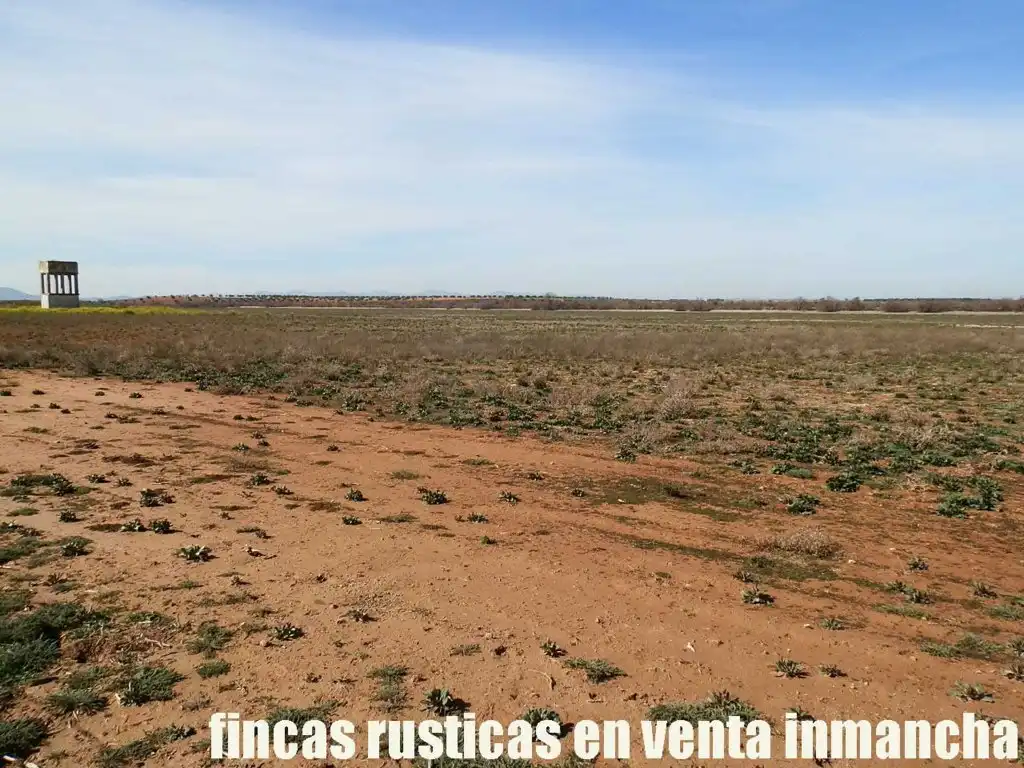 Rural land for sale in Madridejos, imagen 15