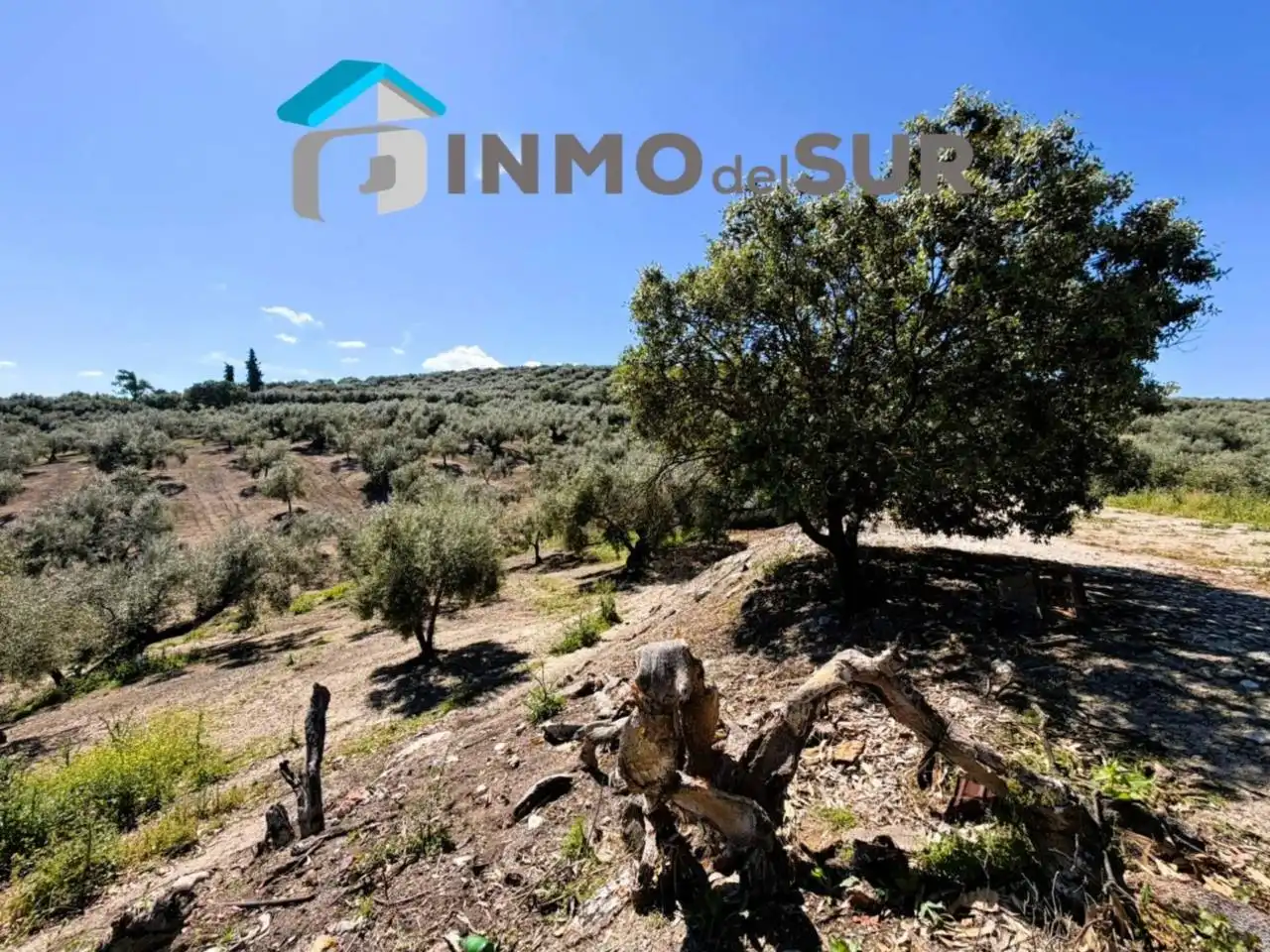 Terreno rustico in vendita a Carretera Lucena-Doña Mencía, imagen 14